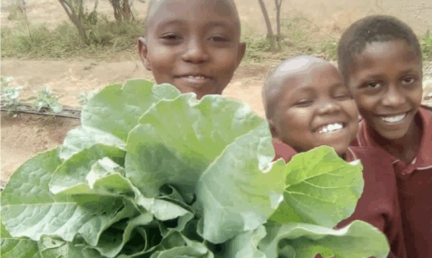 Students holding vegetables from the garden
