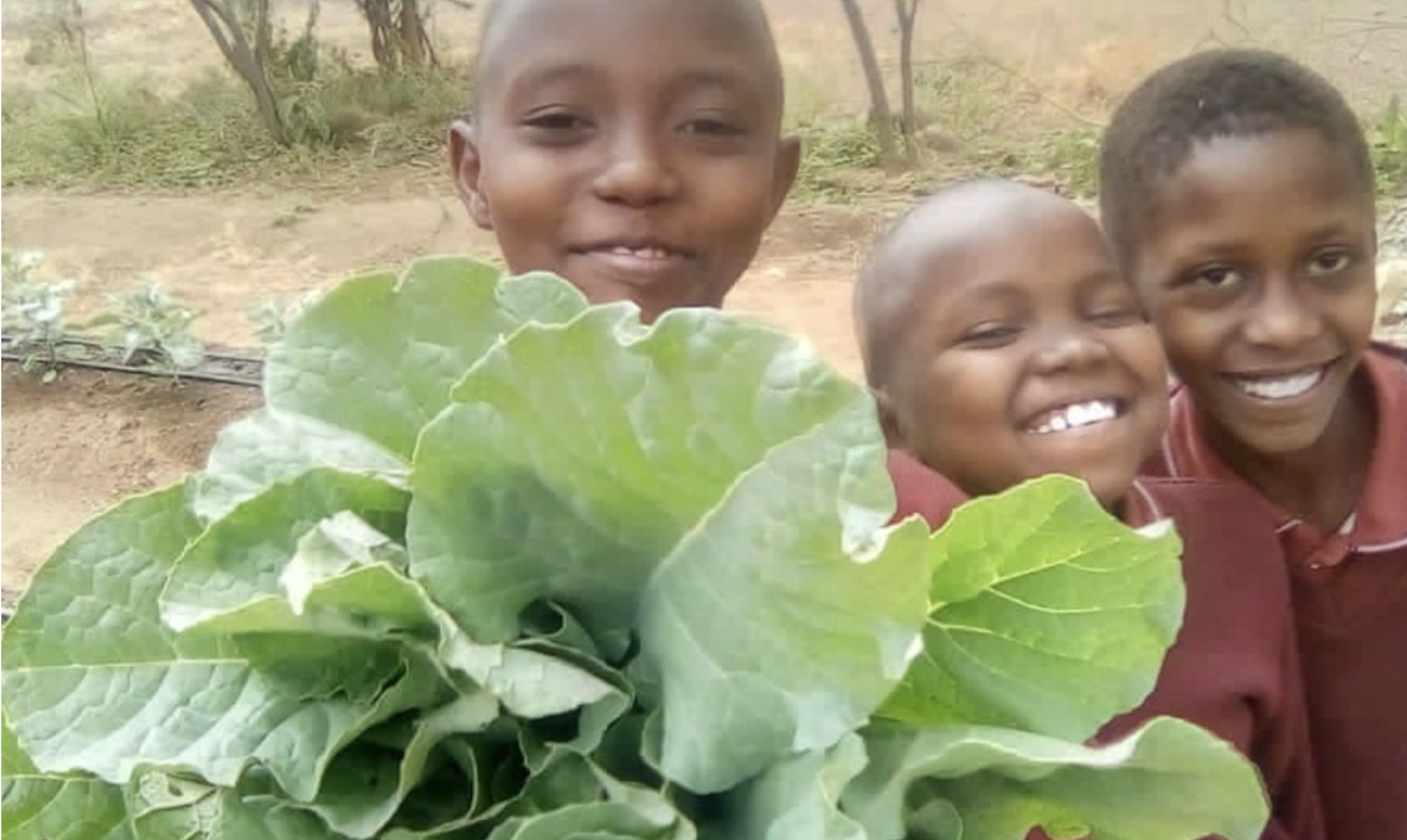 Students holding vegetables from the garden